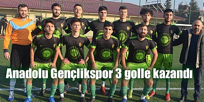Anadolu Gençlikspor, Hartlap Köyü Ali Doğanspor'u mağlup etti