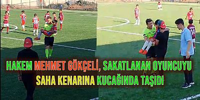 Hakem Mehmet Gökçeli, sakatlanan oyuncuyu saha kenarına kucağında taşıdı