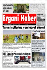 ERGANİ HABER