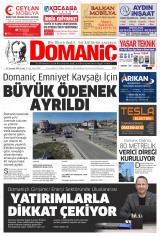 DOMANİÇ