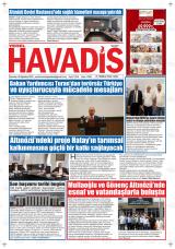 YEREL HAVADİS
