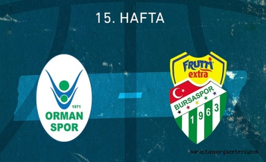 Ormanspor – Bursaspor canlı izle
