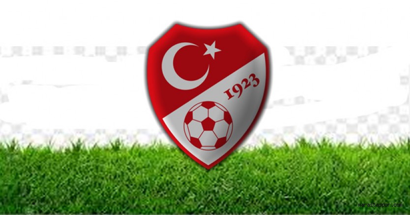 Profesyonel liglerde play-off maçları ne zaman oynanacak? İşte 2021 – 2022 Sezonu tarihleri