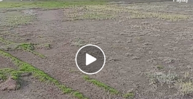 Sizce Burası Kahramanmaraş’ta bulunan hangi stadyum