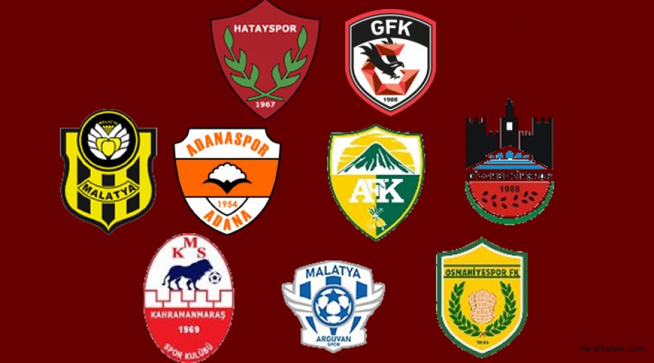 Profesyonel Liglerde 9 takım ligden çekildi
