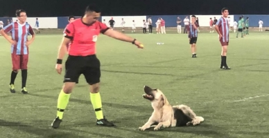 Hakem maç oynanırken sahaya giren Köpeği koşarak çıkartı