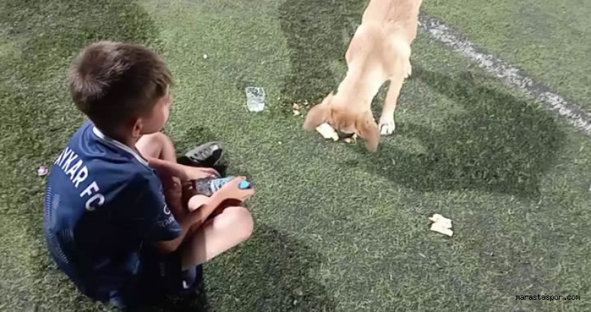 Minik futbolcu ile Sahadaki Köpek arasında geçen sıcak sohbet gülümsetti