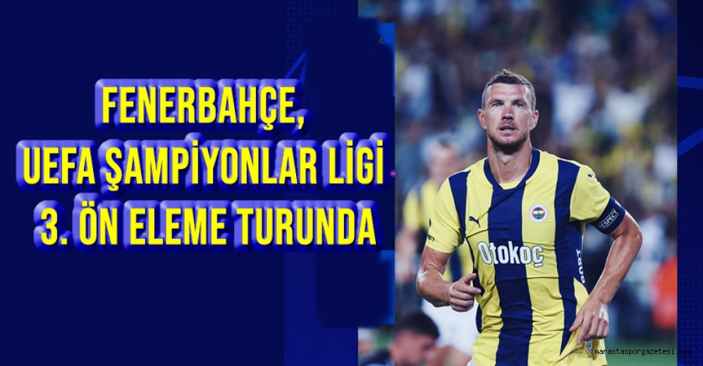 Fenerbahçe, UEFA Şampiyonlar Ligi 3. Ön Eleme turunda