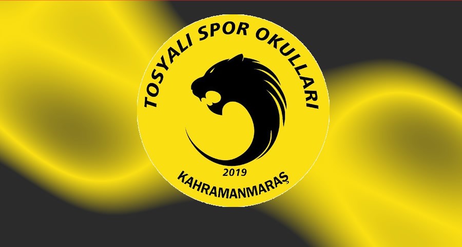 Tosyalıspor U15 Türkiye Şampiyonası’nda Grup Finalinde veda etti