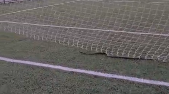 Kahramanmaraş’ta Futbol Maçına Yılan Damgasını Vurdu!
