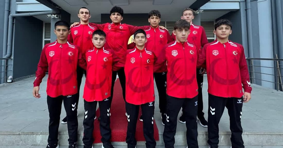 Ali İnce,  Avrupa Güreş Şampiyonası’nda, Türkiye’yi temsil edecek