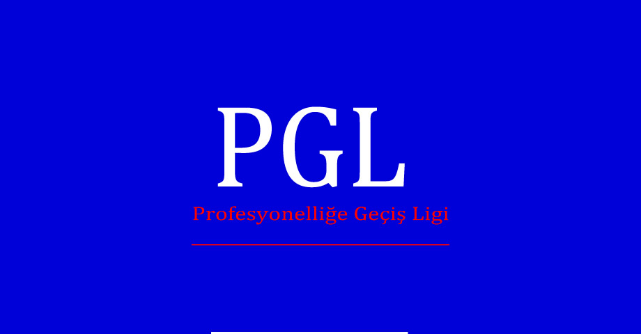 Profesyonelliğe Geçiş Ligi Hangi Ligin Yerine Kuruldu?